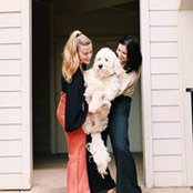 Alessandra Maclay's photo