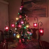 Danni Perry's photo