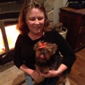Sharon Fishbacks billede