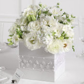 Teresa Camacho's photo