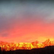 Bridget Hiser's photo