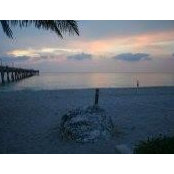 Sheryl Sipe's photo