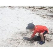 Sandy Turner's photo