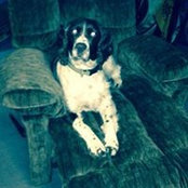 Gary Bogle's photo