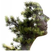 Stefani Djurin's photo