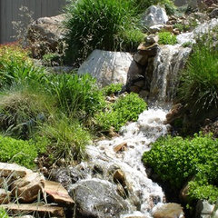 Pebble Creek Design