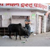 Mike Owen's photo