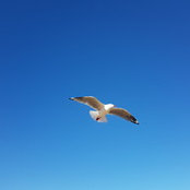 Zoe's photo