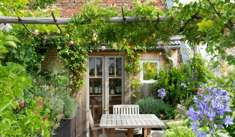 Sind das die Traum-Terrassen der Houzz-User?