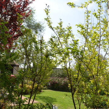 Garden with barbecue and vegetables