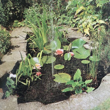 Garden - Japanese - Stream and Ponds