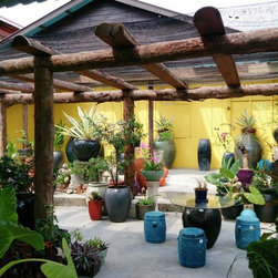 Container gardening - Products