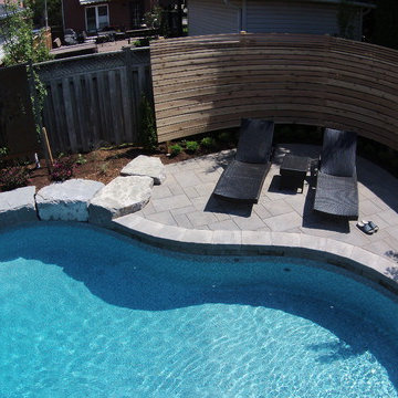 Freeform Pool and Backyard Retreat with Privacy Screens