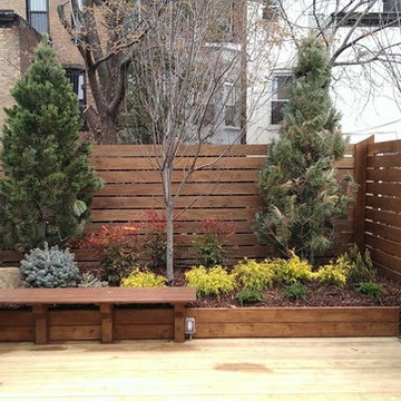 Town House Landscape Design and Renovation