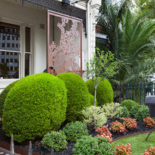 Landscape Ideas