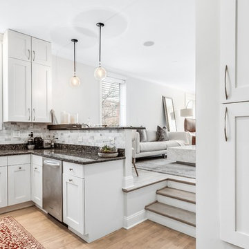 Ranch Triangle Chicago Renovation