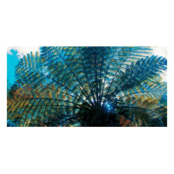 Douglas Page Photographic Arts - Fern Tree Canvas Giclee - Photographs