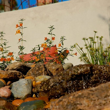 Berkley Landscape and Water Feature