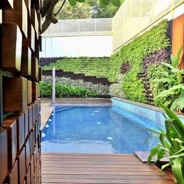 BIMA House