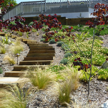 Rear slope, Palos Verdes Estates