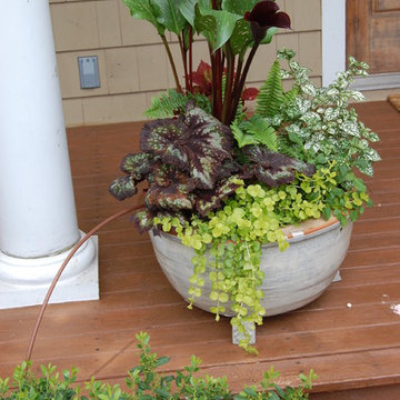 Drip Irrigation
