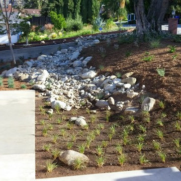 La Crescenta River Bed Project