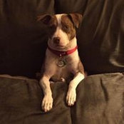 Lisa Vanderhoof's photo