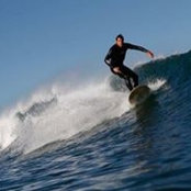 Mark Luff's photo