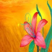 Meryl Anderson's photo