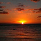 Brewster Morgan's photo