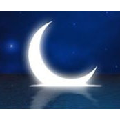 Annamaria Accardo's photo