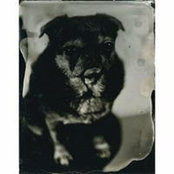 Andrew Gold's photo