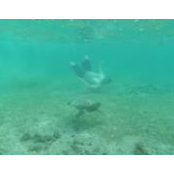 Kurt Bergman's photo