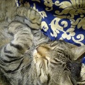 Charlotte Brown's photo