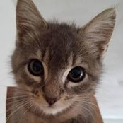 Nancy Iannotti's photo