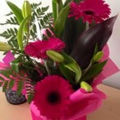 Debra Cadwallender's photo