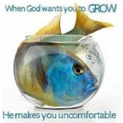 Tanya Fuller's photo