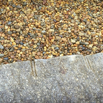 Historical Wayland Backyard