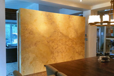 Dining room - contemporary dining room idea in DC Metro