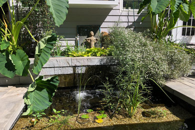 This is an example of a contemporary landscaping in Other.