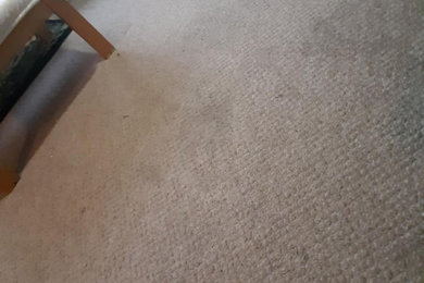 Dry Carpet Cleaning Lyneham