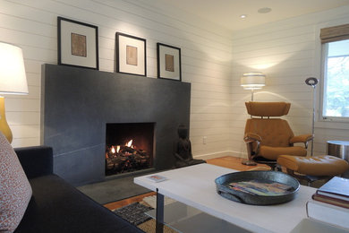 Living room - contemporary living room idea in Santa Barbara