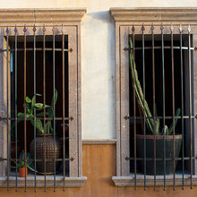 Windows
