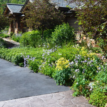 Design - Build Mountain Ranch Landscape in Summit County, CO