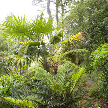 San Francisco Cloud Forest Garden