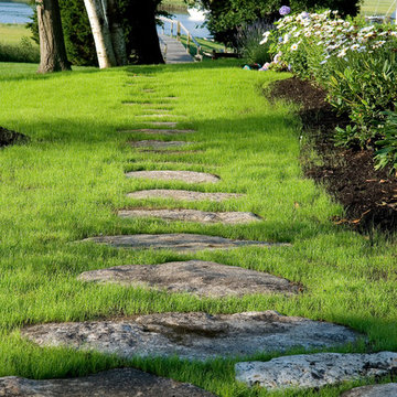 Path to dock
