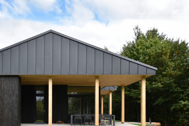 Contemporary black one-story wood house exterior idea in Other with a shed roof, a metal roof and a black roof