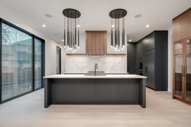 Kitchen photo in Toronto
