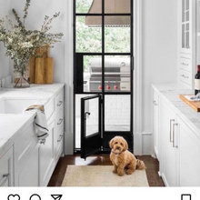 dog doors