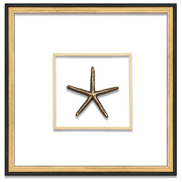 Small Starfish Suspended Between Glass With A Decorative French Line, Gold
